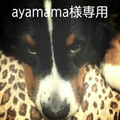 ayamama様専用のサムネイル