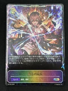 シャドウバース エボルヴ 蒼炎の猛威 PR SL仕様 - メルカリ