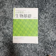 必修整理ノート 生物基礎のサムネイル