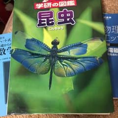 昆虫/友国 雅章のサムネイル