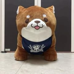 新品☆忠犬もちしば スクっと超BIG おかか ⚠️なるべく圧縮せず発送