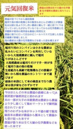 農協が米づくりに関係！ 発芽用玄米10kg　７年産コシヒカリ 特別栽培① 無農薬のサムネイル