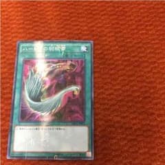 ハーピィの羽根帚のサムネイル