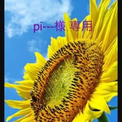 ナイキ 水着セットのサムネイル