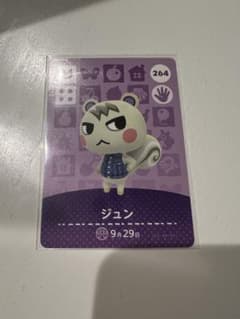 【希少・人気amiiboカード】ジュン｜どうぶつの森 amiibo 正規品即発送のサムネイル