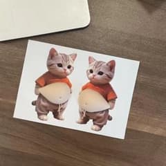 3D 입체 고양이 푸니 푸니 배 스티커 2장 세트 충돌 방지 충격 흡수 치유