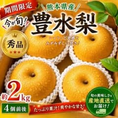 熊本県産 豊水梨 約2kg 4個前後 秀品のサムネイル