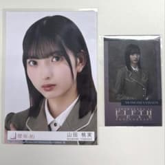 櫻坂46 イオンカード特典 ミニフォトカード 山田桃実 - メルカリ