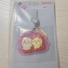 치이카와 이치 반 쿠지 고무 매력