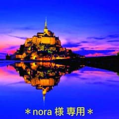 nora様専用です♪のサムネイル