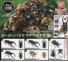 いきもの大図鑑 くわがた05 ヨーロッパミヤマクワガタ(黒) 新品未開封のサムネイル