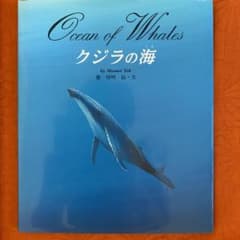 クジラの海のサムネイル