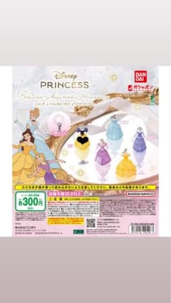 Disney Princess コスチュームぬじるしアクセサリーのサムネイル
