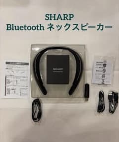 SHARP AN-SS1 Bluetooth ネックスピーカーのサムネイル