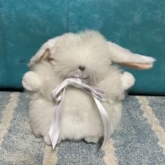 【美品】モンスイユ Mon Seuil ウサギ2体 ぬいぐるみ モンスイユ MON SEUIL ©︎MAY BLUE うさぎ ぬいぐるみ 日本製 - メルカリ