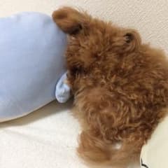 遊戯王   佐藤様専用のサムネイル