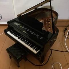 お値下げしました！！グランドピアニスト ベーシックver.のサムネイル