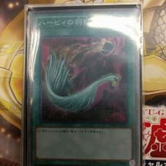 ハーピィの羽箒一枚のサムネイル