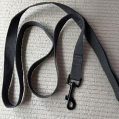 リードのサムネイル