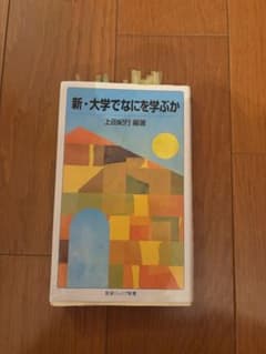 新・大学でなにを学ぶか 上田紀行 岩波ジュニア新書のサムネイル