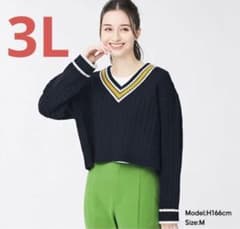 チルデンクロップドセーター(長袖)紺色3Lのサムネイル