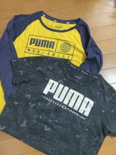 PUMA キッズ Tシャツ 2枚セット 160cmのサムネイル