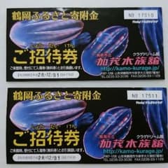 ぜんくんまま様専用☆加茂水族館☆ご招待券 ２枚のサムネイル