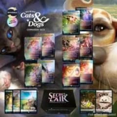 Secret Lair: Raining Cats and Dogs2セットのサムネイル