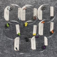 文豪ストレイドッグス　65mm 缶デコカバー　缶バッジカバー　まとめ