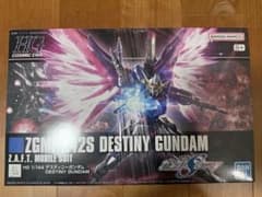 HG 1/144 ZGMF-X42S デスティニーガンダムのサムネイル