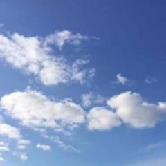 ぱん様専用のサムネイル