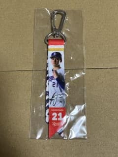 中日ドラゴンズ 金丸夢斗 21 ミニボンフィンのサムネイル