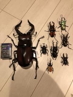 クワガタ　カブトムシ　フィギュアのサムネイル