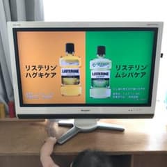 発送は8/12☆AQUOS☆32インチ☆SHARP☆テレビ☆2008年製のサムネイル