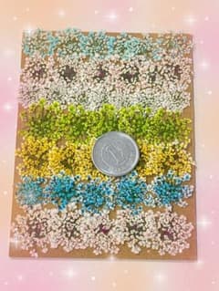 新作!!レースフラワーの押し花*no.6のサムネイル