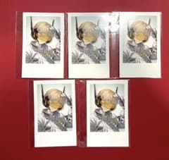 緋八マナ チェキ グッズ 5点セット にじさんじ