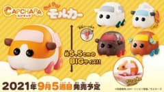 CAPCHARA PUIPUIモルカー　アビーのサムネイル
