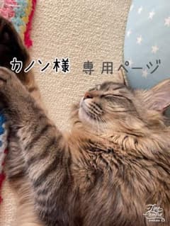 カノン様　専用ページのサムネイル