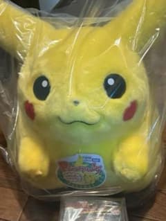 ポケモン30周年記念 おかえり！ピカチュウ 1/1 ぽけふわ
