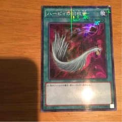 ハーピィーの羽根箒 ミニレアムレアのサムネイル