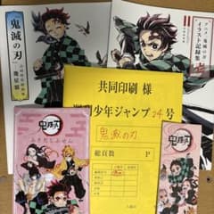 Demon Slayer: Kimetsu no Yaiba Art Book Illustration Record Set
