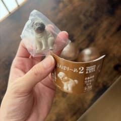 ふんばりーぬ2 パグ ガチャ カプセルトイのサムネイル
