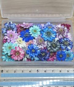 ハンドメイド　花材　ドライフラワー　マトリカリア　暖色系　20輪+α マトリカリア ドライフラワー（25輪） ドライフラワー Flower shop