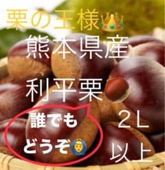 【２Ｌサイズ以上】【誰でも購入どうぞ❣️】栗の王様利平栗1.5Kg 以上のサムネイル