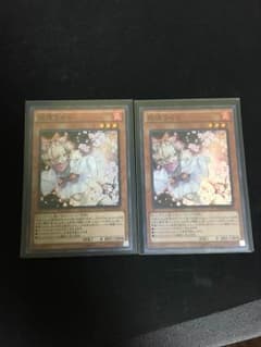 遊戯王 はるうらら 2枚のサムネイル