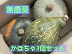北海道産　無農薬　3種類のかぼちゃセット　産地直送のサムネイル