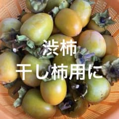 渋柿　干し柿用　露地栽培のサムネイル