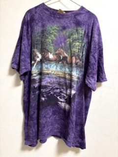 00s THE MOUNTAIN タイダイ馬Tシャツ メンズMのサムネイル
