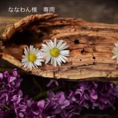 ななわん様　専用のサムネイル