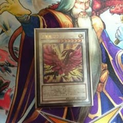 月華竜ブラックローズのサムネイル